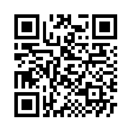 QR Code for ICO-A-010